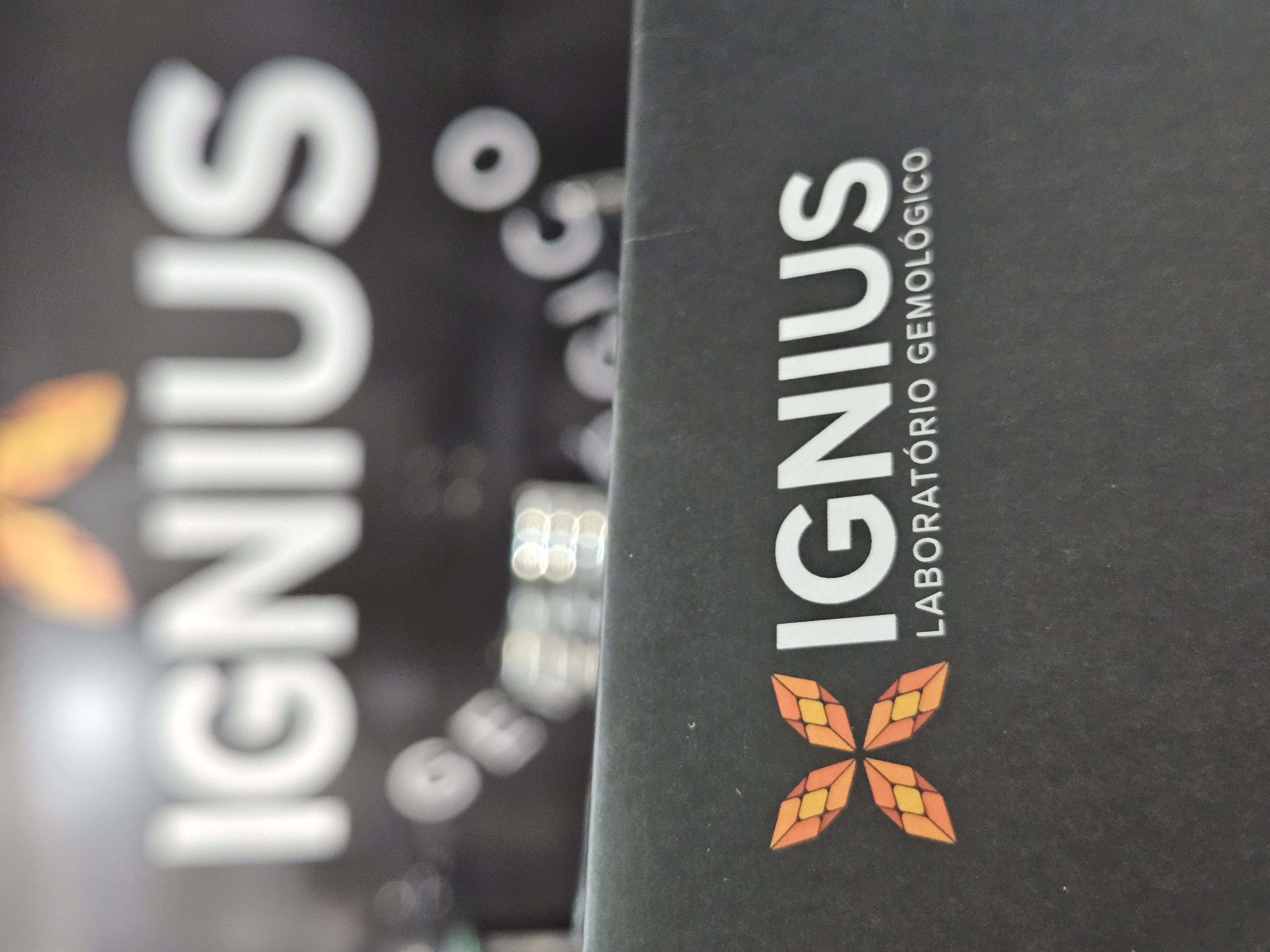 Por dentro da Ignius — 1
