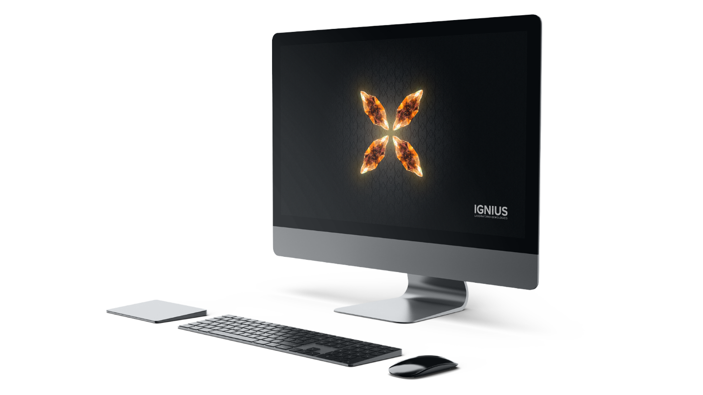 Software próprio de relatórios